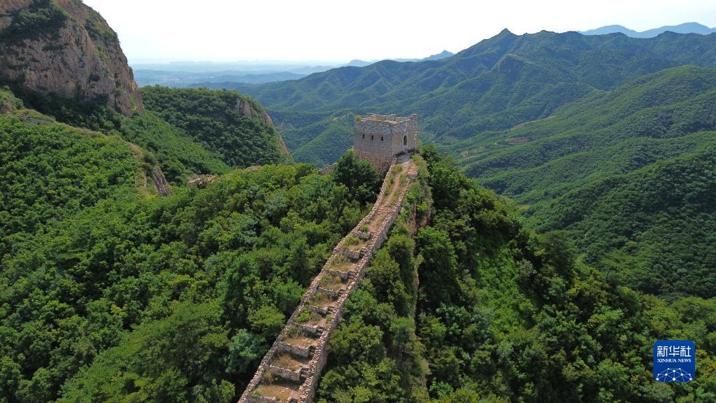买龙和虎的那个游戏软件叫什么